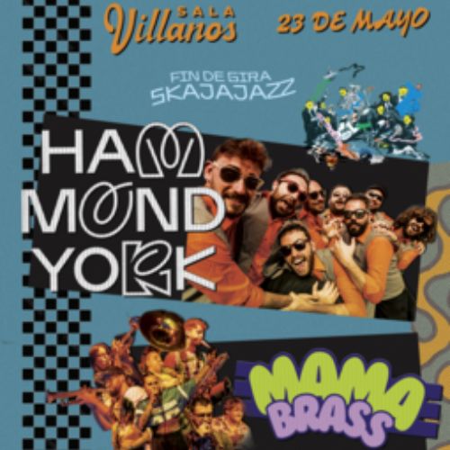Hammond York